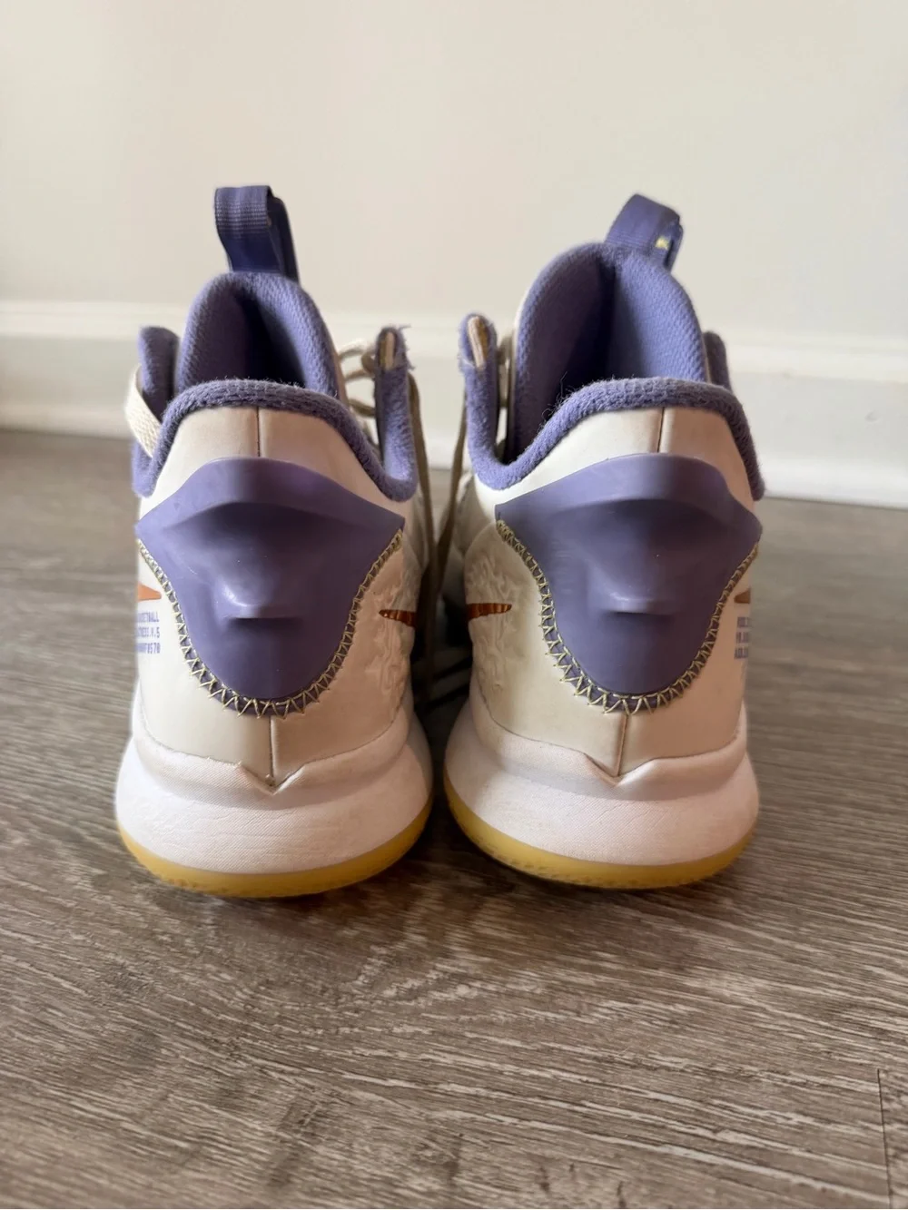 Nike LeBron James court shoes